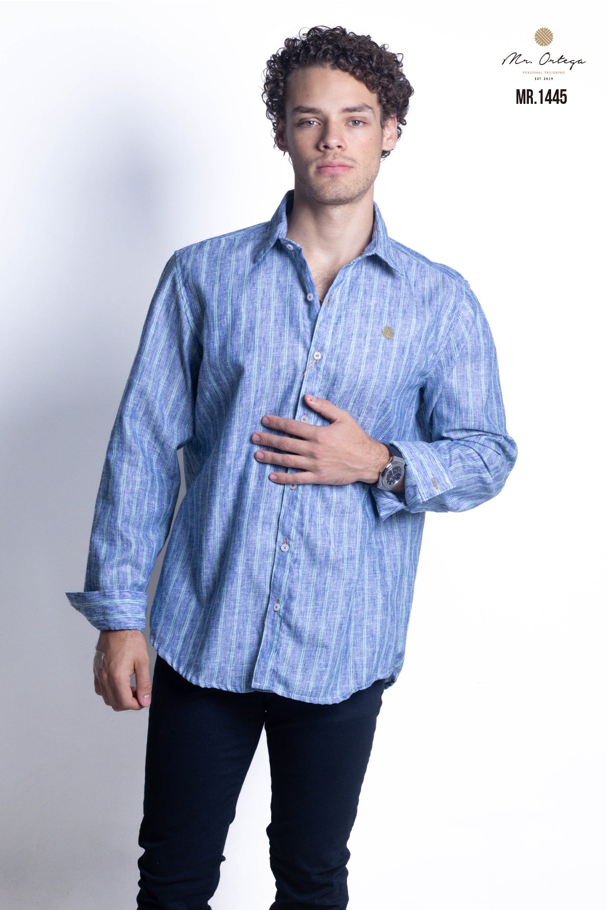 CAMISA RAYAS AZUL MARINO Y VERDE